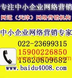 天津关键词优化价格解析，投资回报率如何？天津关键词优化专家