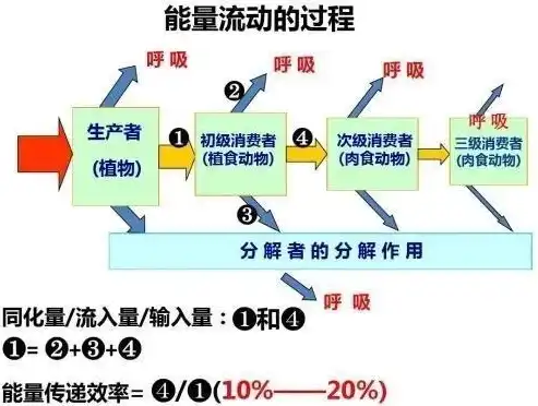 探索能量利用效率和利用率的奥秘，提升能源效益的关键路径，能量利用效率和利用率一样吗