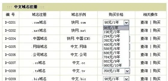 网站域名价格一览，不同类型域名年费解析及优惠信息，网站域名多少钱一年收费