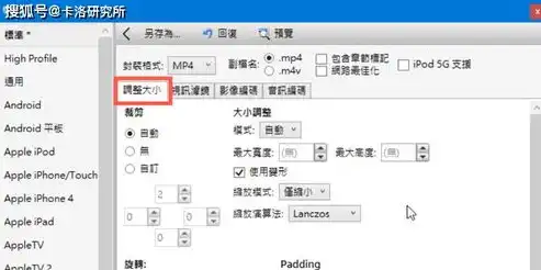 深度解析，最新关键词排名软件，助您轻松抢占搜索引擎高地，最新关键词排名软件是什么