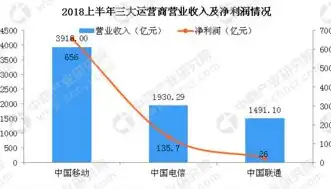 深入解析电信VPS服务器，优势、应用及选购指南，中国电信vps