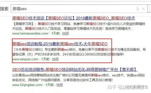 揭秘黑帽SEO，那些你不可不知的内幕与风险，seo黑帽行为有哪些