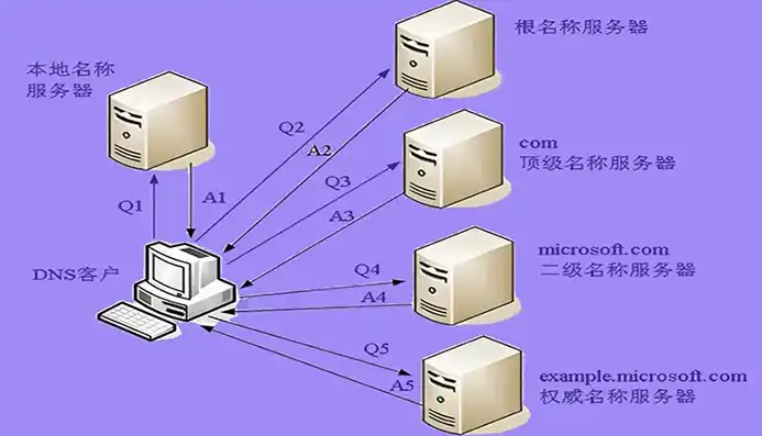 深入解析，如何查询网站的DNS服务器及其实用技巧，查看网站dns