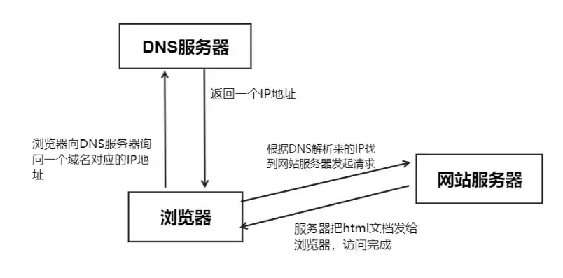 深入解析，如何查询网站的DNS服务器及其实用技巧，查看网站dns