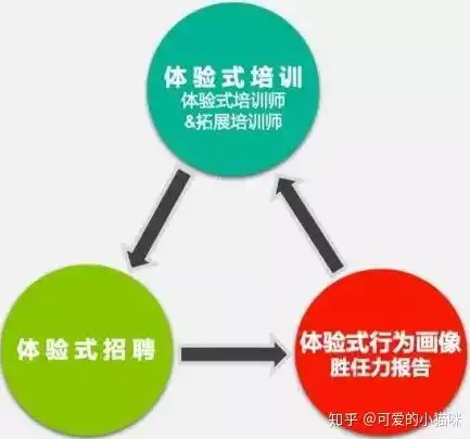 专业网站开发，从需求分析到上线运营的全方位解决方案，专业网站开发官网