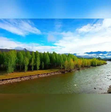 探索永久免费网站空间的奥秘，无拘无束搭建梦想之站！，永久免费网站空间在哪