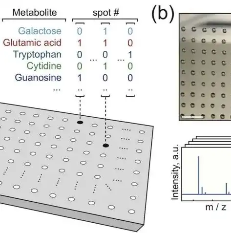 揭秘文件存储最佳方案，安全、高效、便捷的全方位解析，文件存储最佳方案有哪些