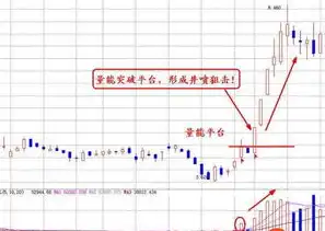 建筑行业类型详解，从传统到现代，全面解析各类建筑形态，建筑行业类型划分有哪些