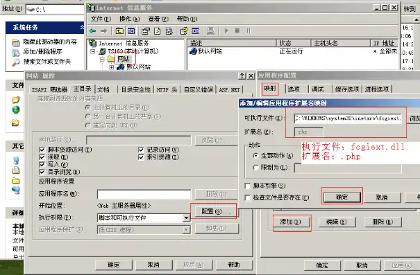 IIS PHP服务器搭建网站全攻略，从入门到精通，iis搭建php环境