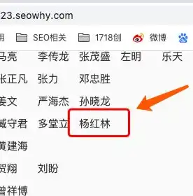 揭秘SEO内页排名策略，提升网站流量与转化率的秘密武器，seo首页排名