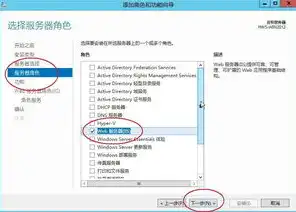 云服务器安装IIS，全面指南与实用技巧详解，云服务器安装vmware