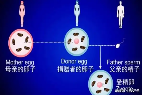 手机成为网站服务器的可能性探讨，技术挑战与未来展望，用手机做网站服务器