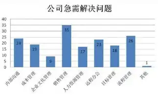 数据治理，构建企业数据资产价值的基石，数据治理层面是指