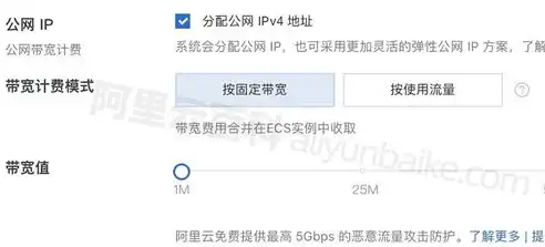 深入解析阿里云服务器带宽，类型、计费方式与优化技巧，阿里云服务器带宽收费标准