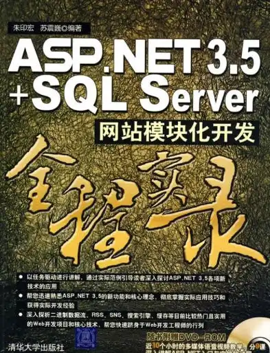 深度解析，ASP全能服务器软件——开启高效网站构建新篇章，支持asp的服务器