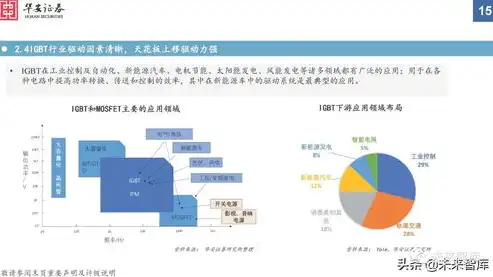 深度解析，Vps服务器代理商的盈利模式及市场前景分析，vps代理ip