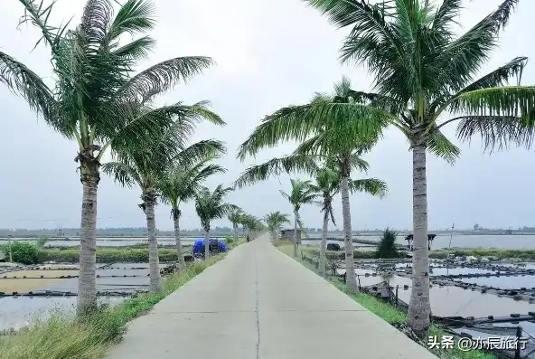 徐闻关键词推广，探寻徐闻的独特魅力，领略海滨风情之旅