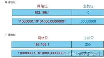 深入探讨远程服务器IP地址的奥秘与应用，远程服务器ip地址是什么