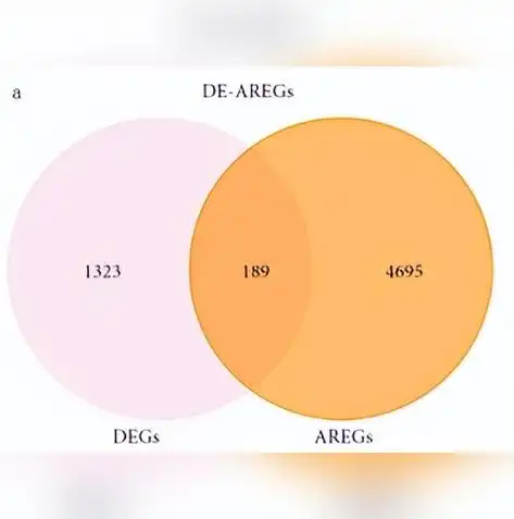 深入探讨数据库管理模型的三大经典架构，数据库管理模型有哪三种?