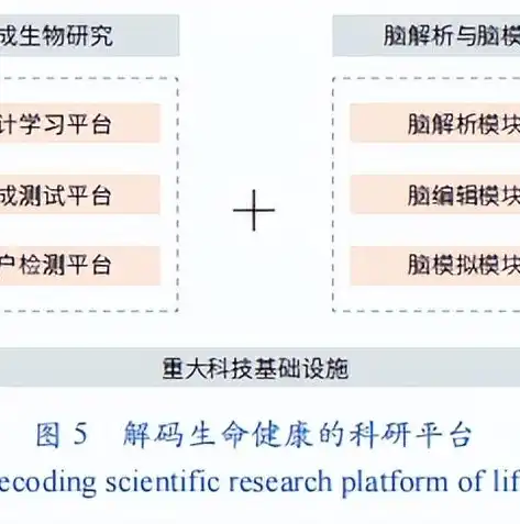 探索网站网站——一个充满创新与活力的数字平台