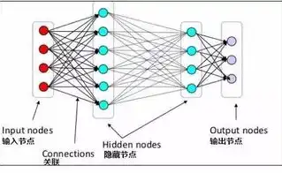 网络科学的深度解析，构建复杂世界的桥梁，深度解析网络科学与技术