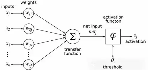 网络科学的深度解析，构建复杂世界的桥梁，深度解析网络科学与技术