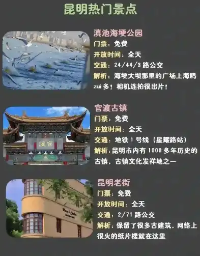 昆明旅游攻略探寻春城魅力，全方位解析昆明必游景点及美食，昆明关键词优化服务