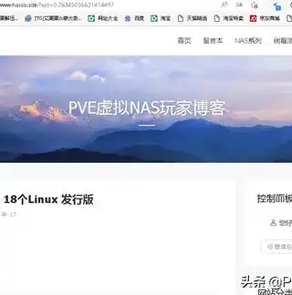 深度解析，域名指向服务器全攻略，轻松实现网站访问！，如何将域名指向服务器访问