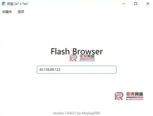 揭秘Flash技术，如何轻松打开网站源码，探索网页奥秘，flash源代码怎么看