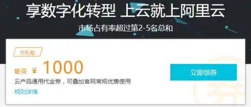 轻松掌握阿里云服务器代金券攻略，助力企业高效上云！，阿里云服务器优惠卷