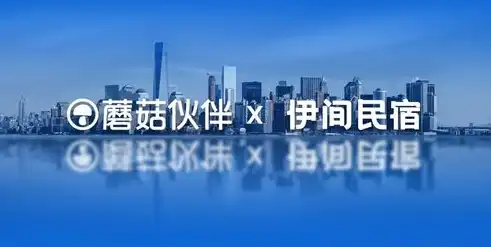 乌海地区SEO服务，为何21火星公司是您的首选合作伙伴？乌海网站优化