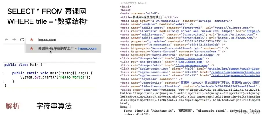 揭秘Flash网站源码，深入解析其技术内涵与优化策略，flash网站源码