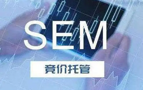 揭秘刷SEO竞价排名的五大策略，提升网站流量，抢占市场先机！，seo竞价排名是什么