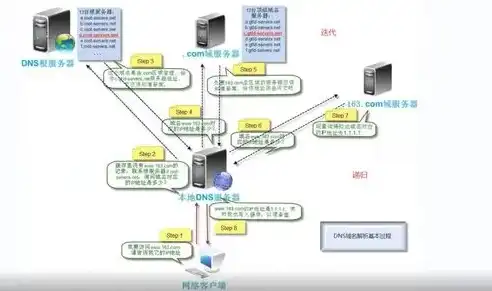 服务器域，揭秘网络世界的神秘领域，服务器域名怎么查