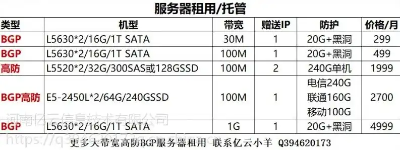 深度解析，租用电信服务器的优势与注意事项，租用电信服务器多少钱