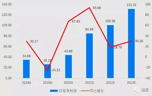 全方位解析网站整站优化策略，助力企业提升网络竞争力，网站整站优化方案