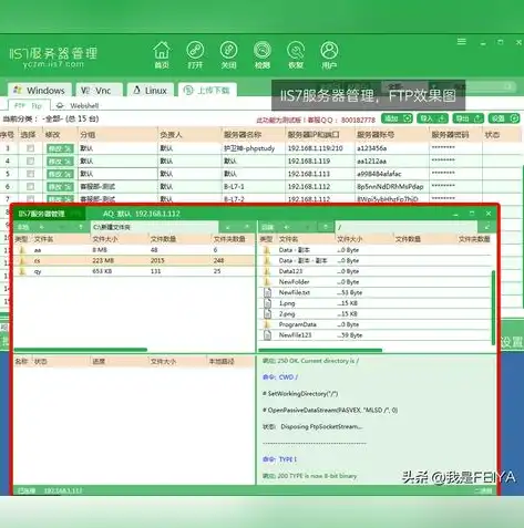 深入解析命令行连接FTP服务器的操作步骤与技巧，怎么用命令行连接服务器