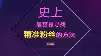 西安网站推广，精准策略助力企业互联网腾飞，西安网站推广公司