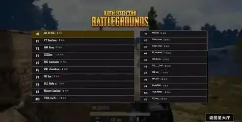 全方位指南，如何精准选择适合您业务需求的服务器，pubg怎么选择服务器