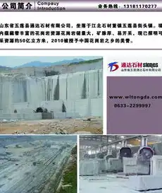 沧洲SEO，揭秘沧洲地区网站优化之道，助您在搜索引擎中脱颖而出，沧洲揽结芳成艾