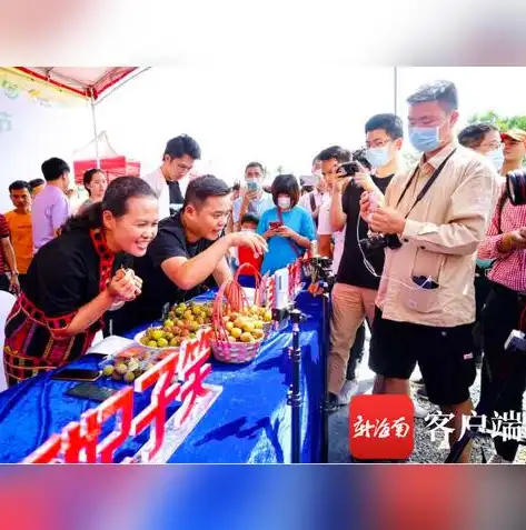 海南网站开发，打造独具特色的旅游电商平台，助力海南自贸港建设，海南网站开发公司排名