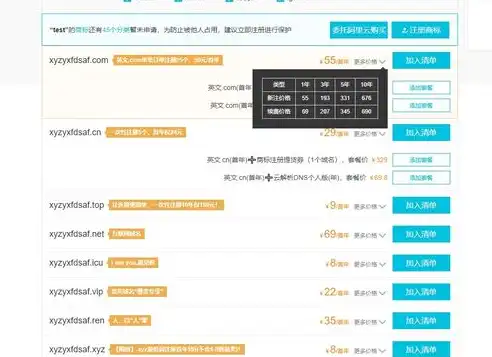 服务器域名价格解析，揭秘域名投资与选购之道，服务器域名多少钱