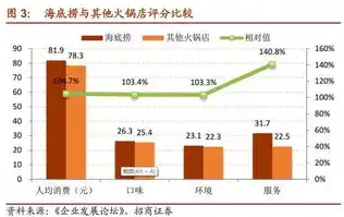 深度解析，网站速度测试，揭秘优化秘籍，提升用户体验，网站速度测试使用vsping工具