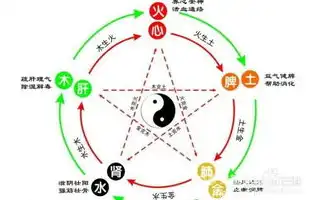 探索古代智慧，五行学说在中医养生中的应用，每一个页面的关键词怎么设置