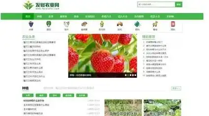 深入剖析农业网站源码，构建高效农业信息平台的秘密武器，农业网站 源码下载