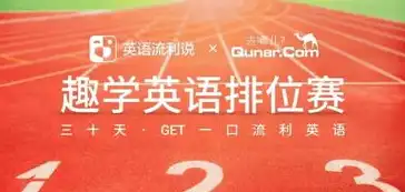 揭秘谷歌网站推广策略，助力企业拓展国际市场，谷歌网站推广做英语还是俄语好