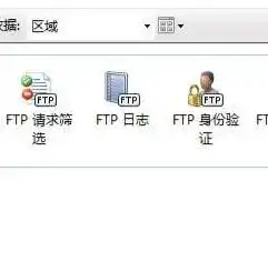 FTP服务器虚拟主机名启用攻略，实现高效便捷的文件传输管理，ftp虚拟主机名怎么设置