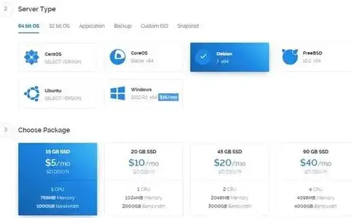 海外服务器选购指南，全方位解析国外购买服务器的注意事项，国外购买服务器怎么买