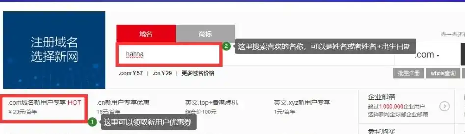 揭秘，如何选择最佳域名注册网站——全面对比各大平台优缺点，域名注册网站哪个好点