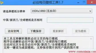 深入解析下载软件所属的网络服务类型及其特点，网上下载软件服务类型